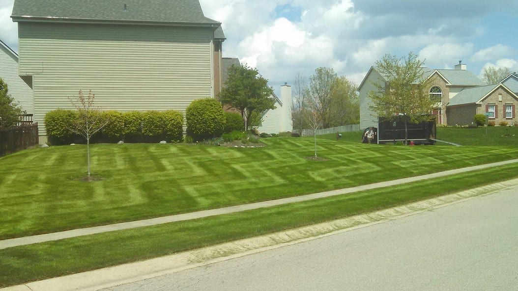 Suburban house with striped lawn beside a quiet street on a clear day