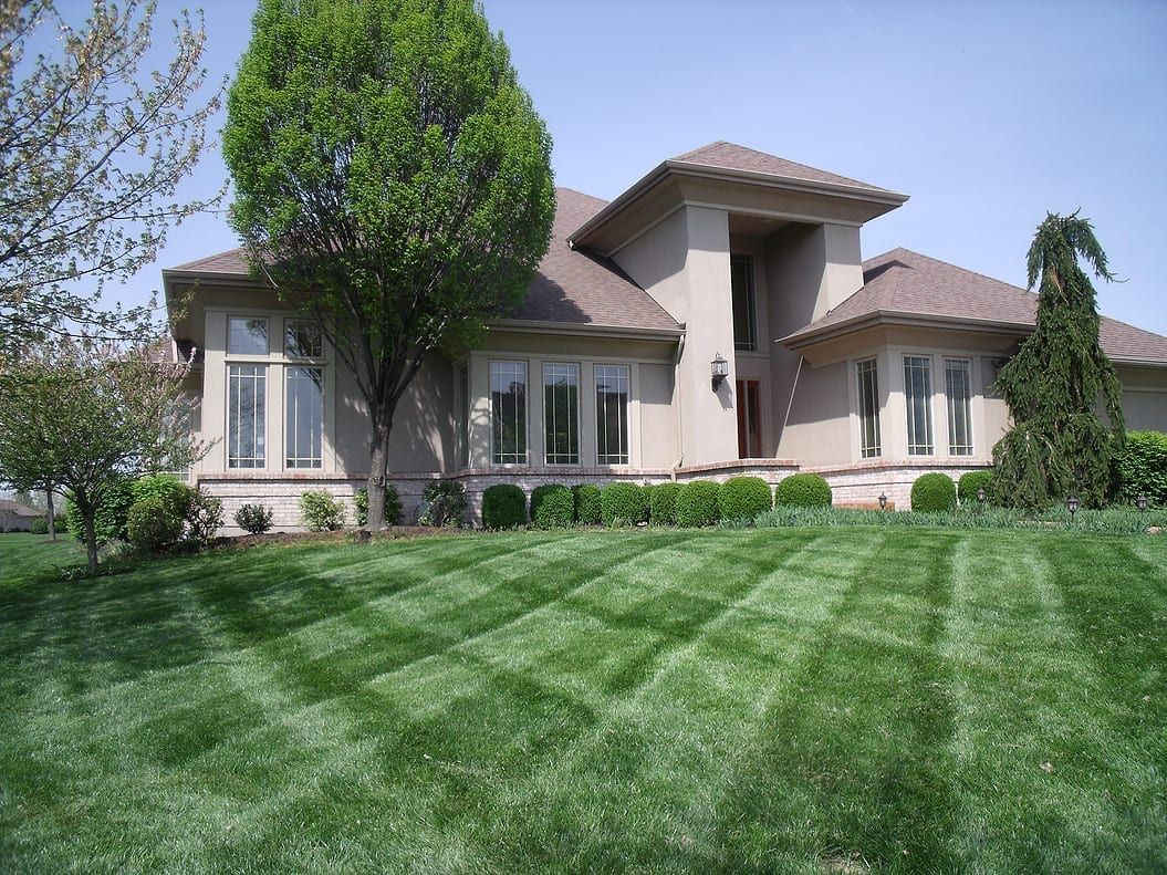 Large beige house with a manicured green lawn and trees in a sunny suburban yard