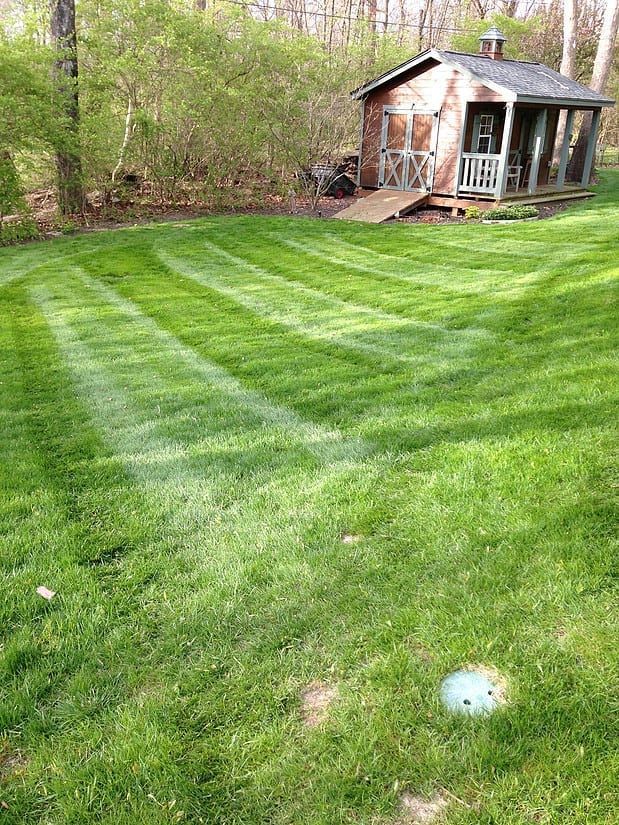 Striped green lawn in a backyard with a small shed near a wooded edge.
