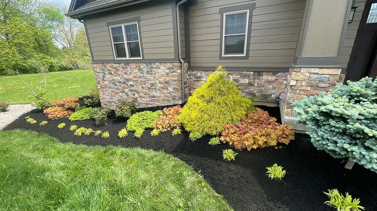 Freshly landscaped garden bed with black mulch, colorful shrubs, and a house stone foundation