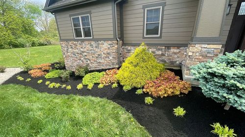 Freshly landscaped garden bed with black mulch, colorful shrubs, and a house stone foundation