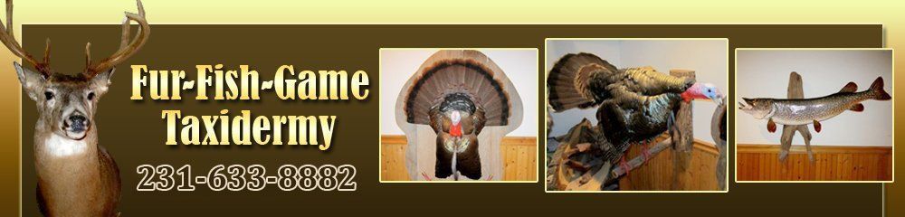 Fur-Fish-Game Taxidermy - logo