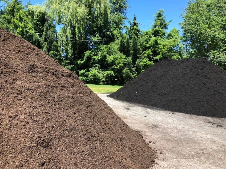 Two piles of dirt are sitting next to each other on a dirt road.