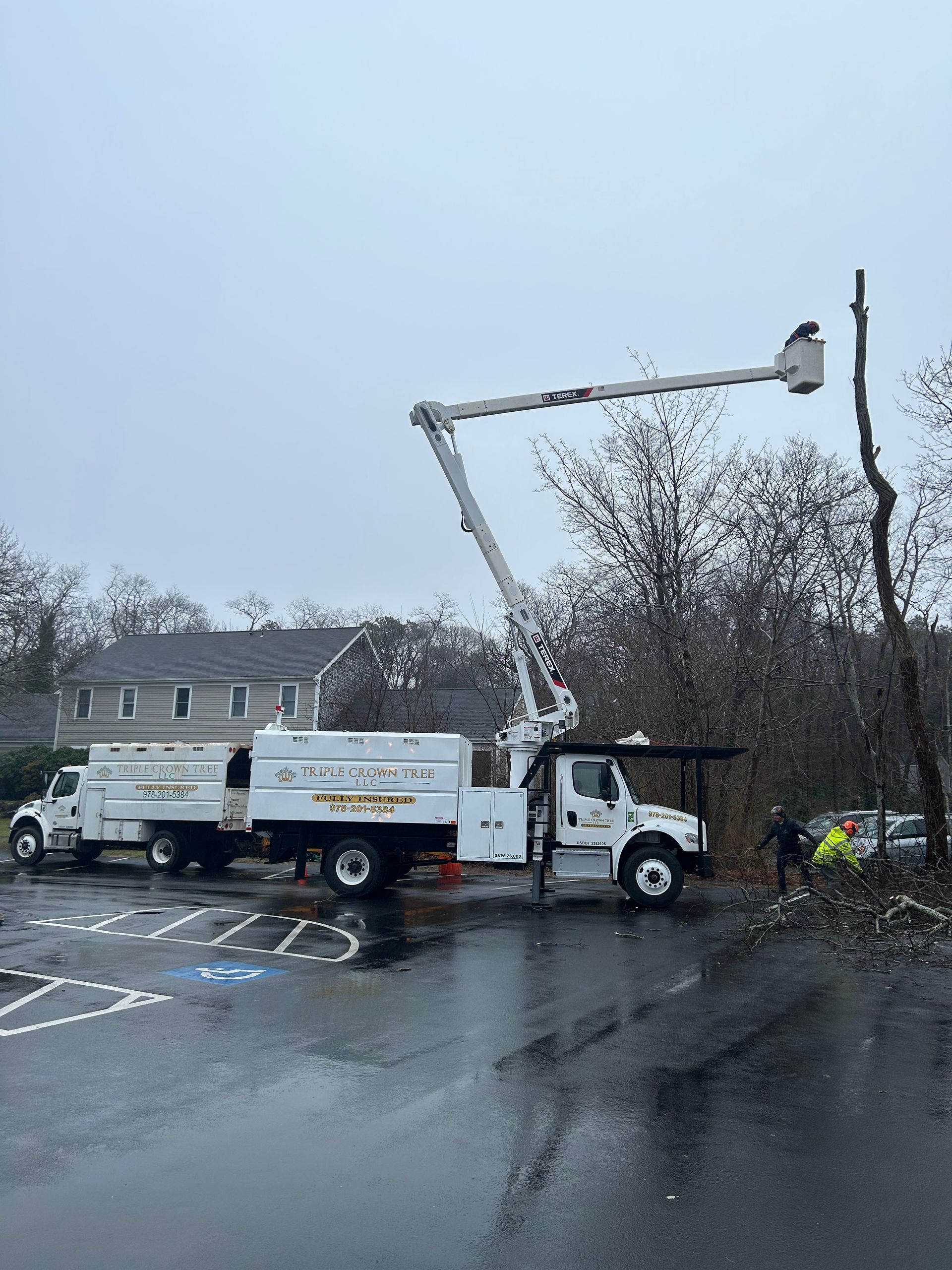 Tree Service Triple Crown Tree Llc Sandwich Ma