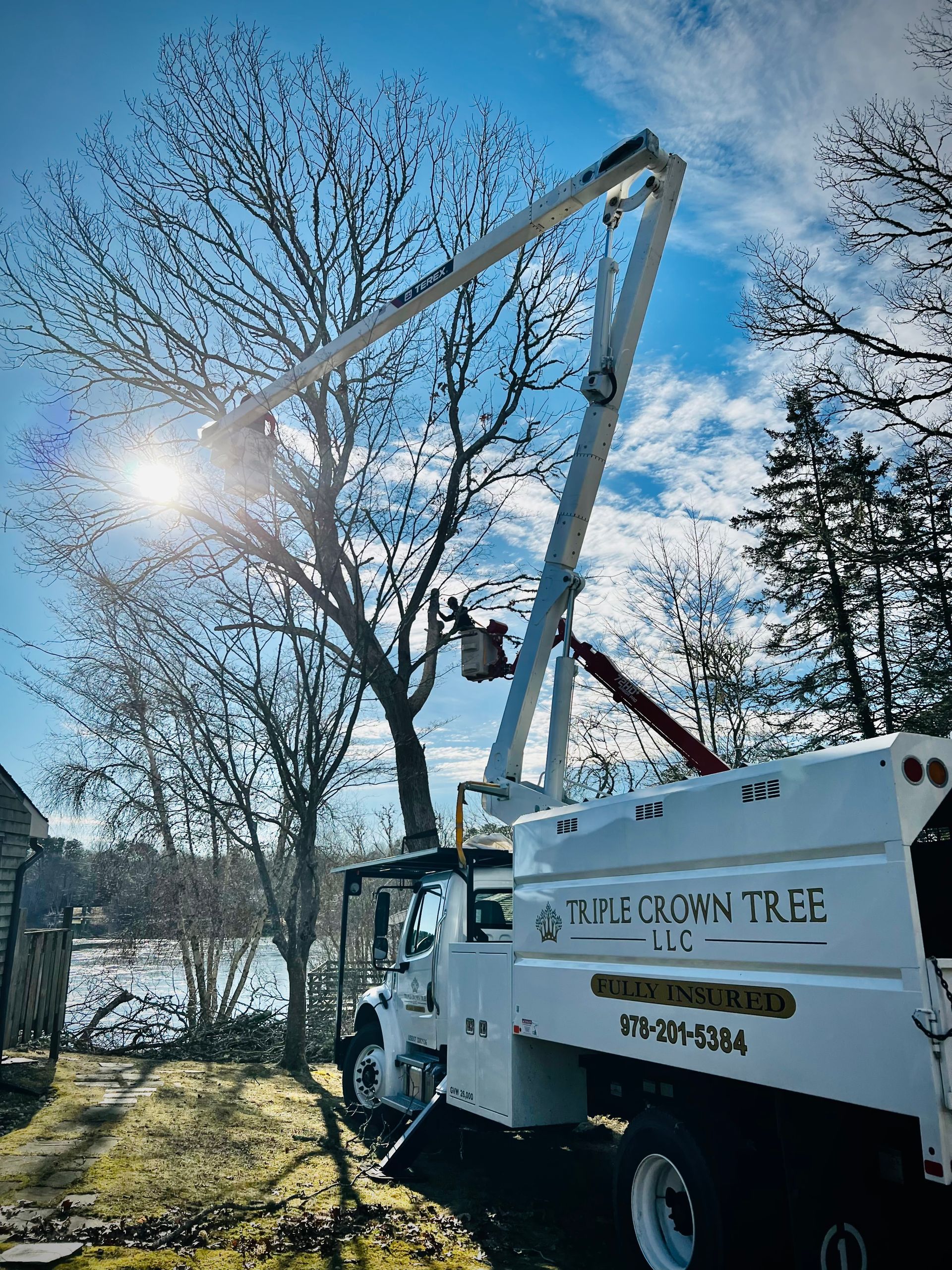 Tree trimming service
