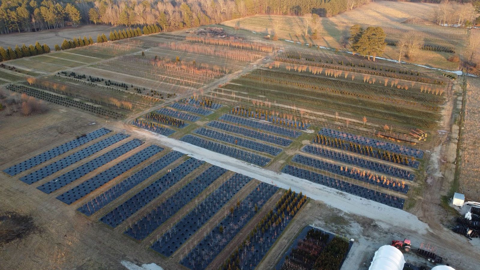 An aerial view of a large field filled with rows of solar panels.