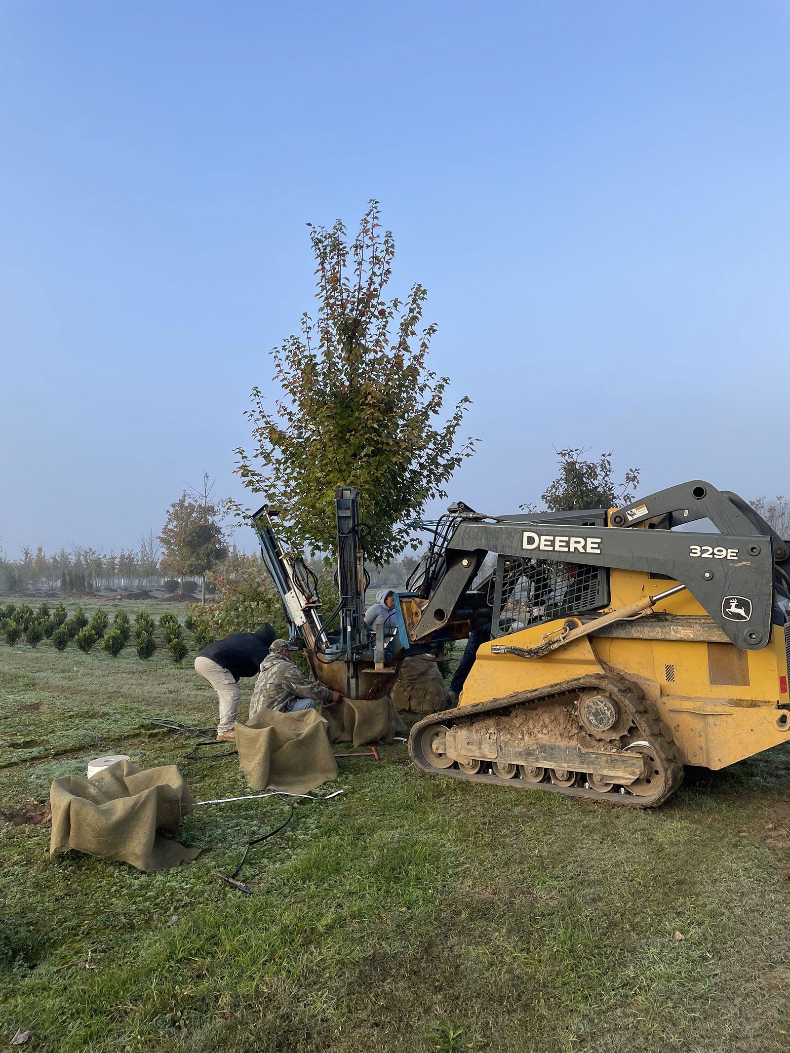 A yellow bulldozer is parked in a field next to a tree.