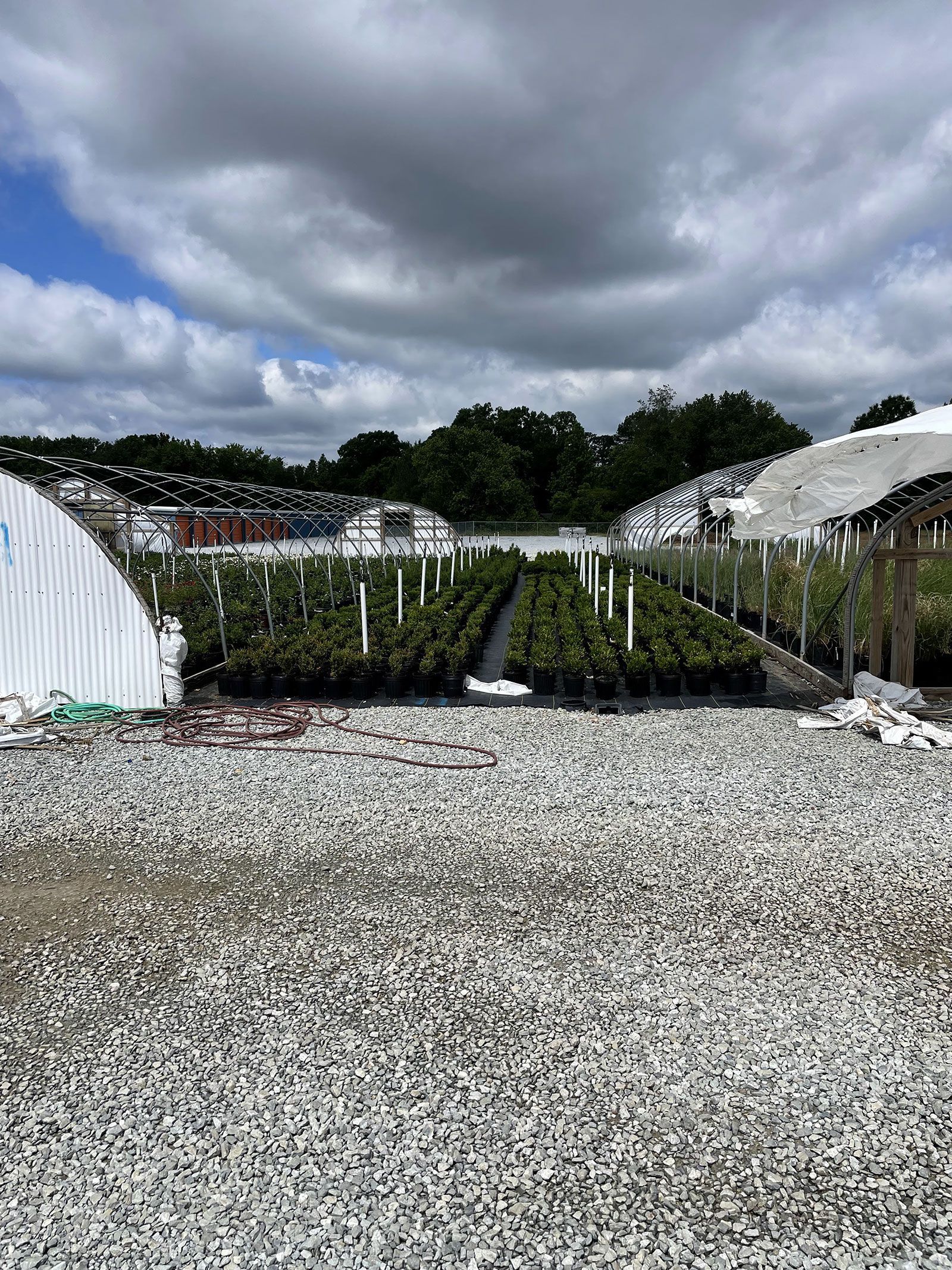 A lot of greenhouses are sitting on top of a gravel lot.