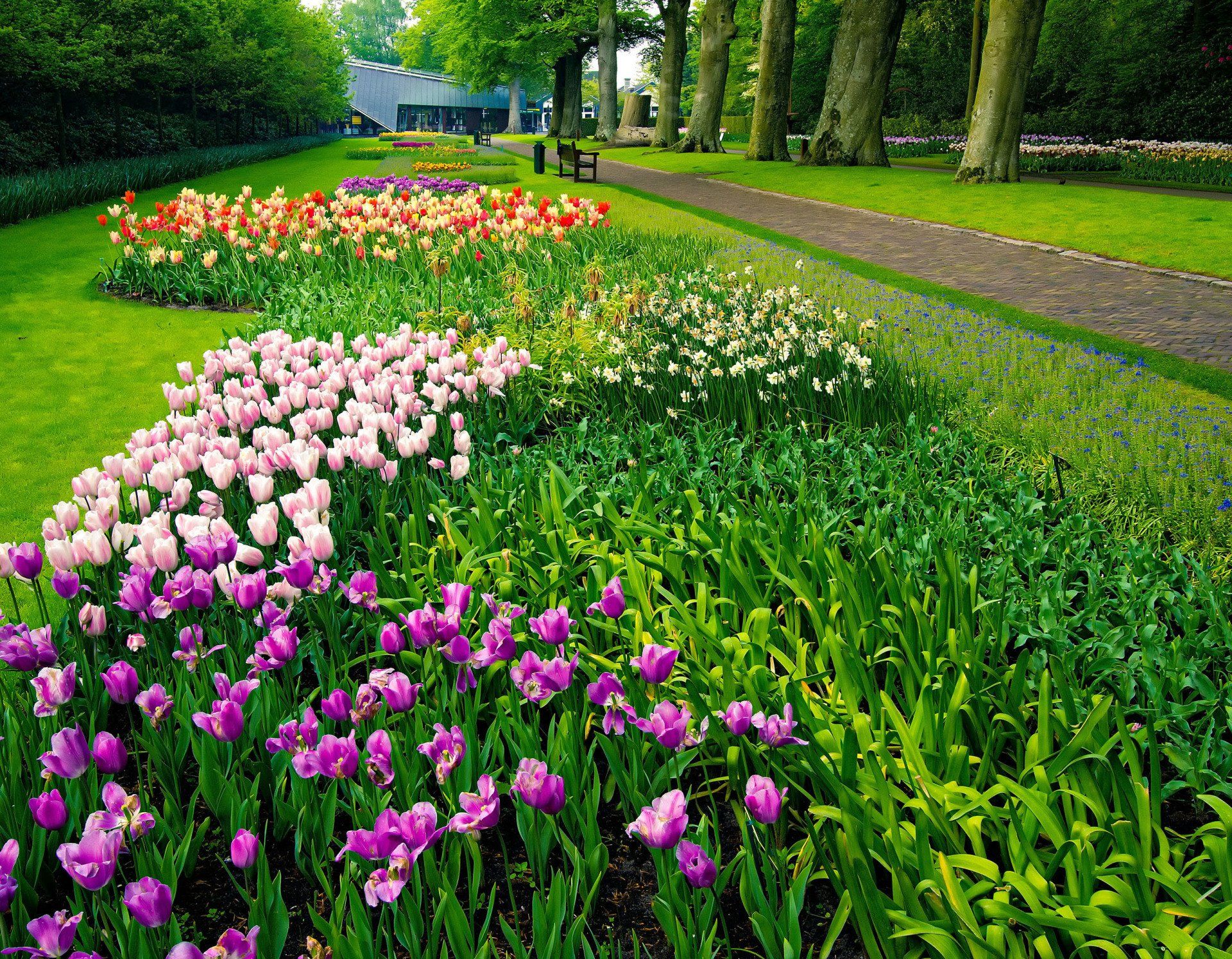 A garden filled with lots of different colored flowers