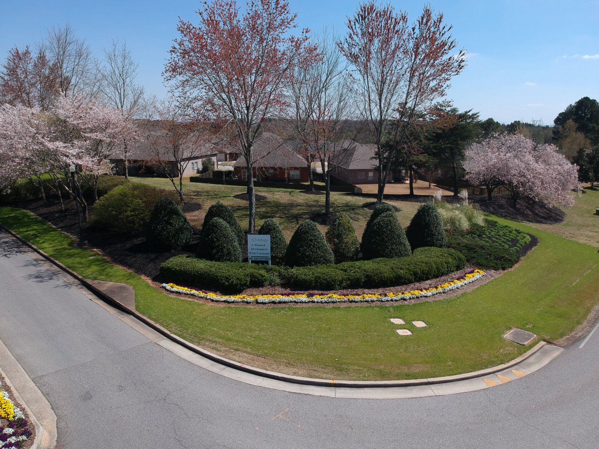 An aerial view of a residential area with trees and bushes