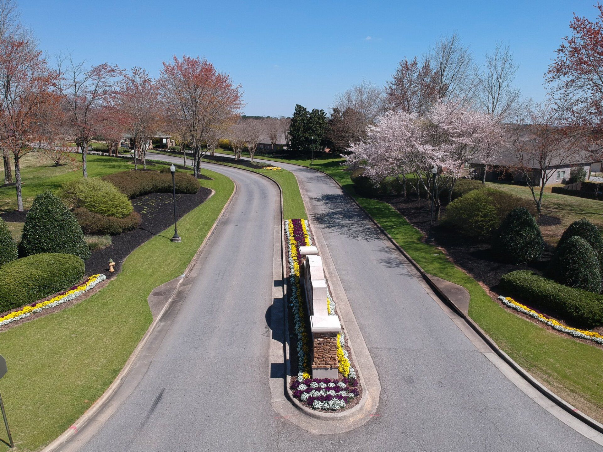 An aerial view of a residential neighborhood with trees and bushes
