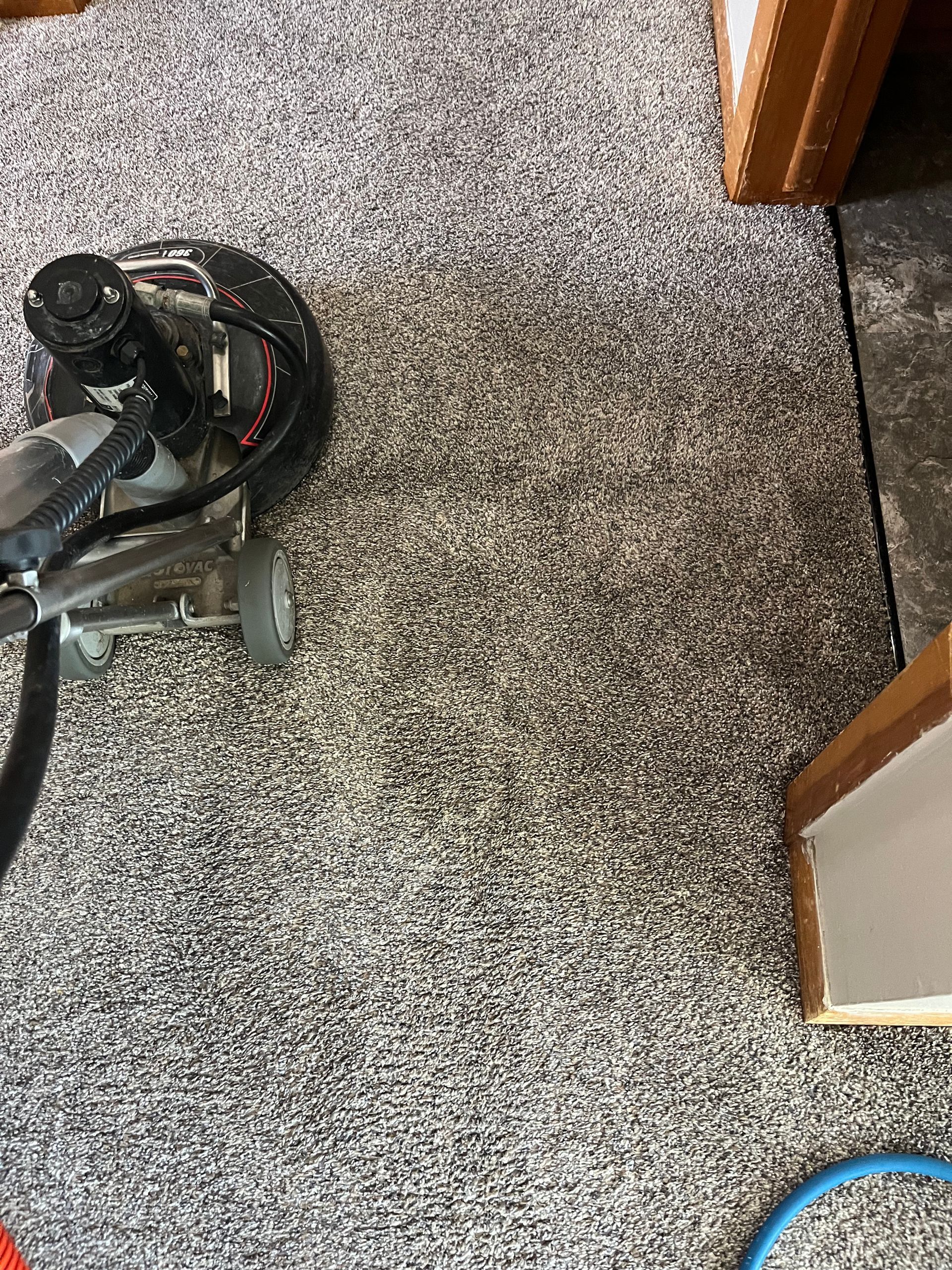 A vacuum cleaner is cleaning a carpet in a room.