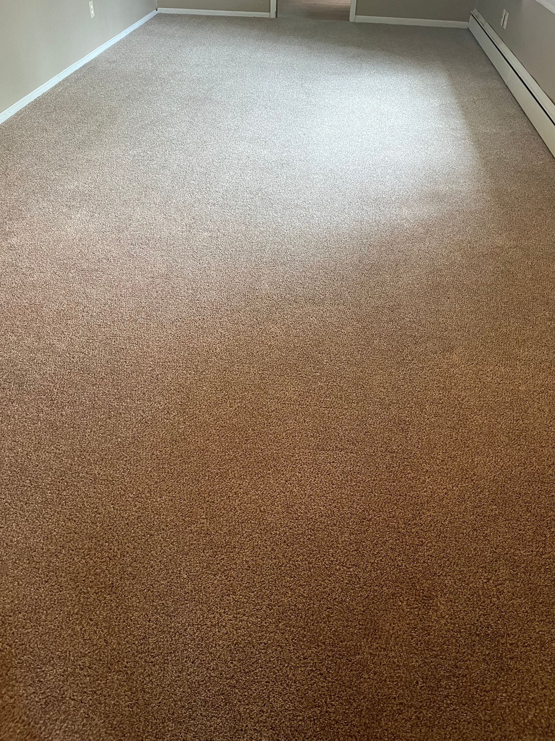 A living room with a large brown carpeted floor.