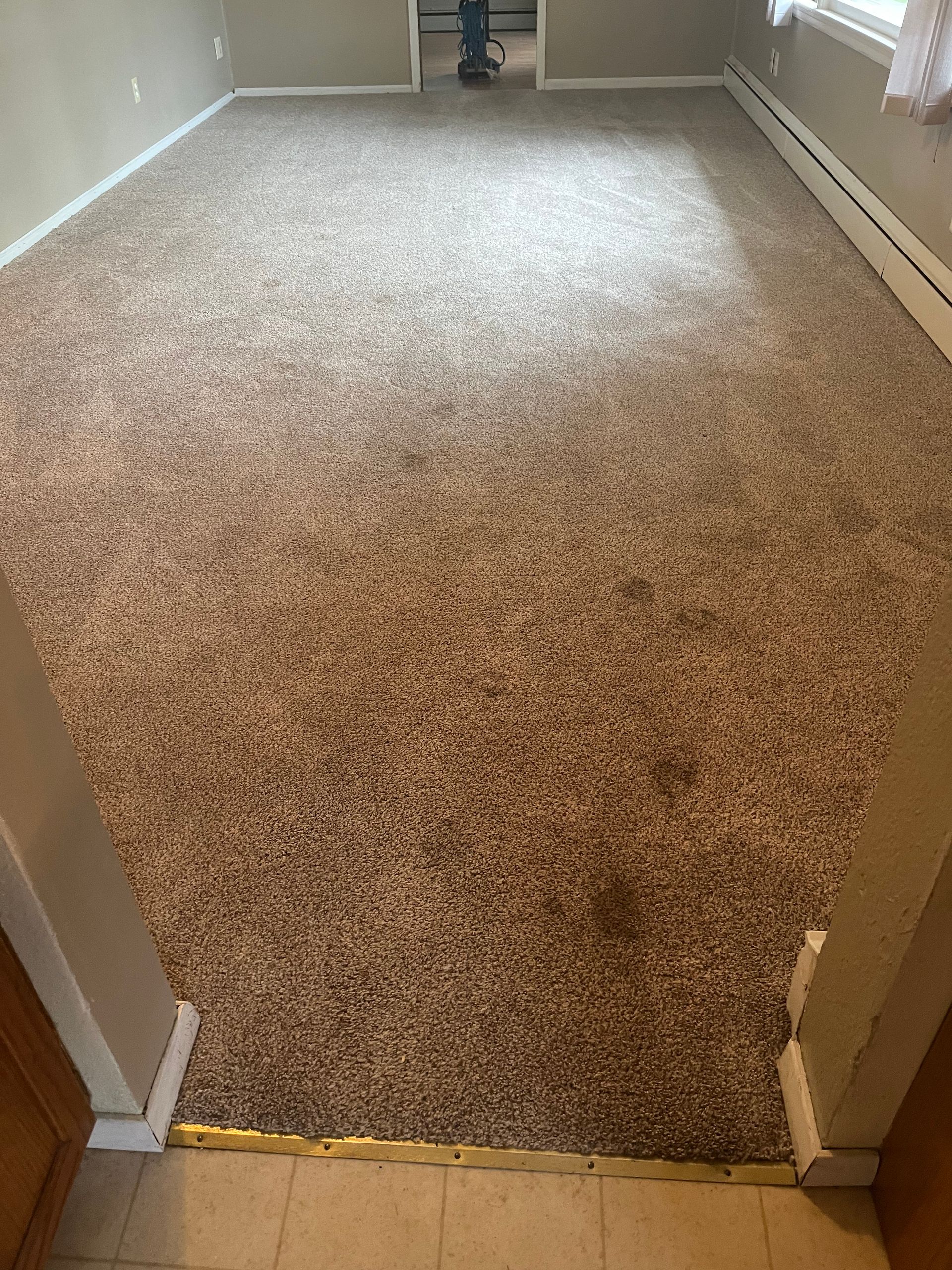 A living room with a large carpeted floor.