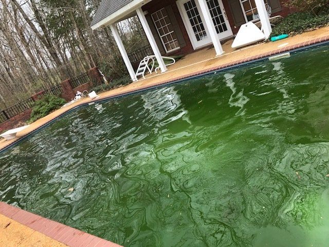 Pool Cleaning - Before