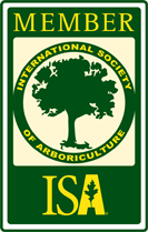 Member of ISA
