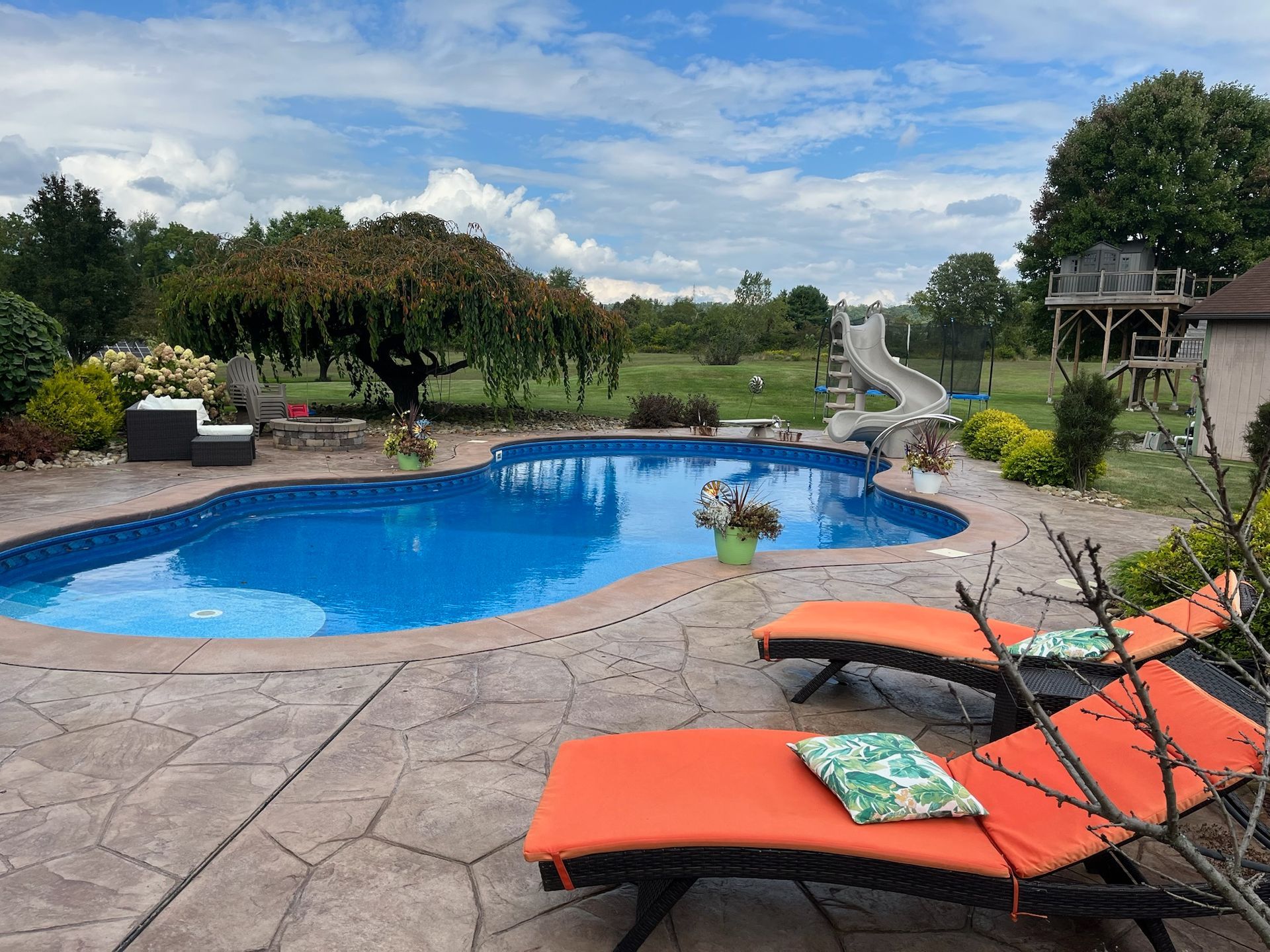 A backyard pool with lounge chairs, a slide, and a weeping tree under a cloudy sky.