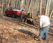 stump-grinding-removal