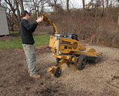Stump grinding