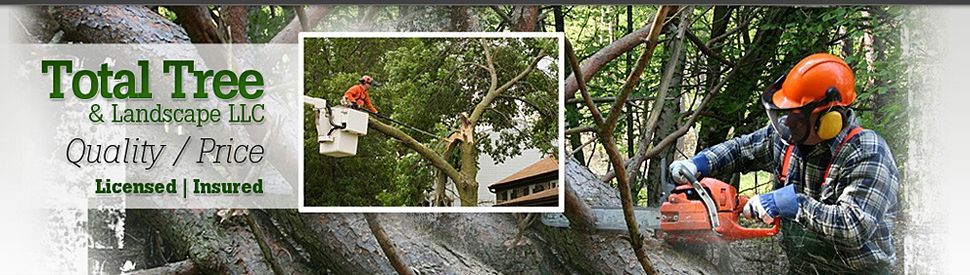 tree-removal-specialists-landscapers-rocky-hill-ct-total-tree-service-landscaping-header