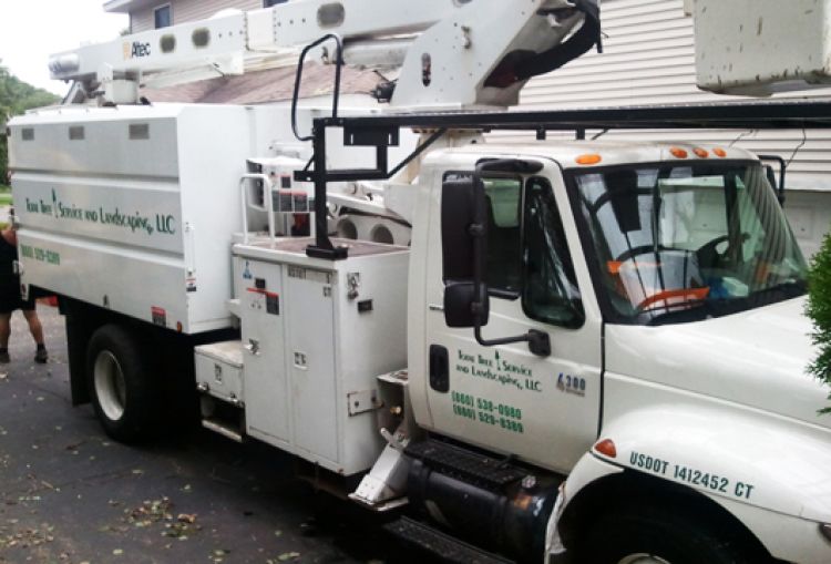Total Tree Service Truck