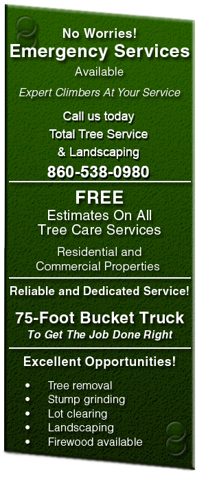 Total Tree Service & Landscaping -860-538-0980