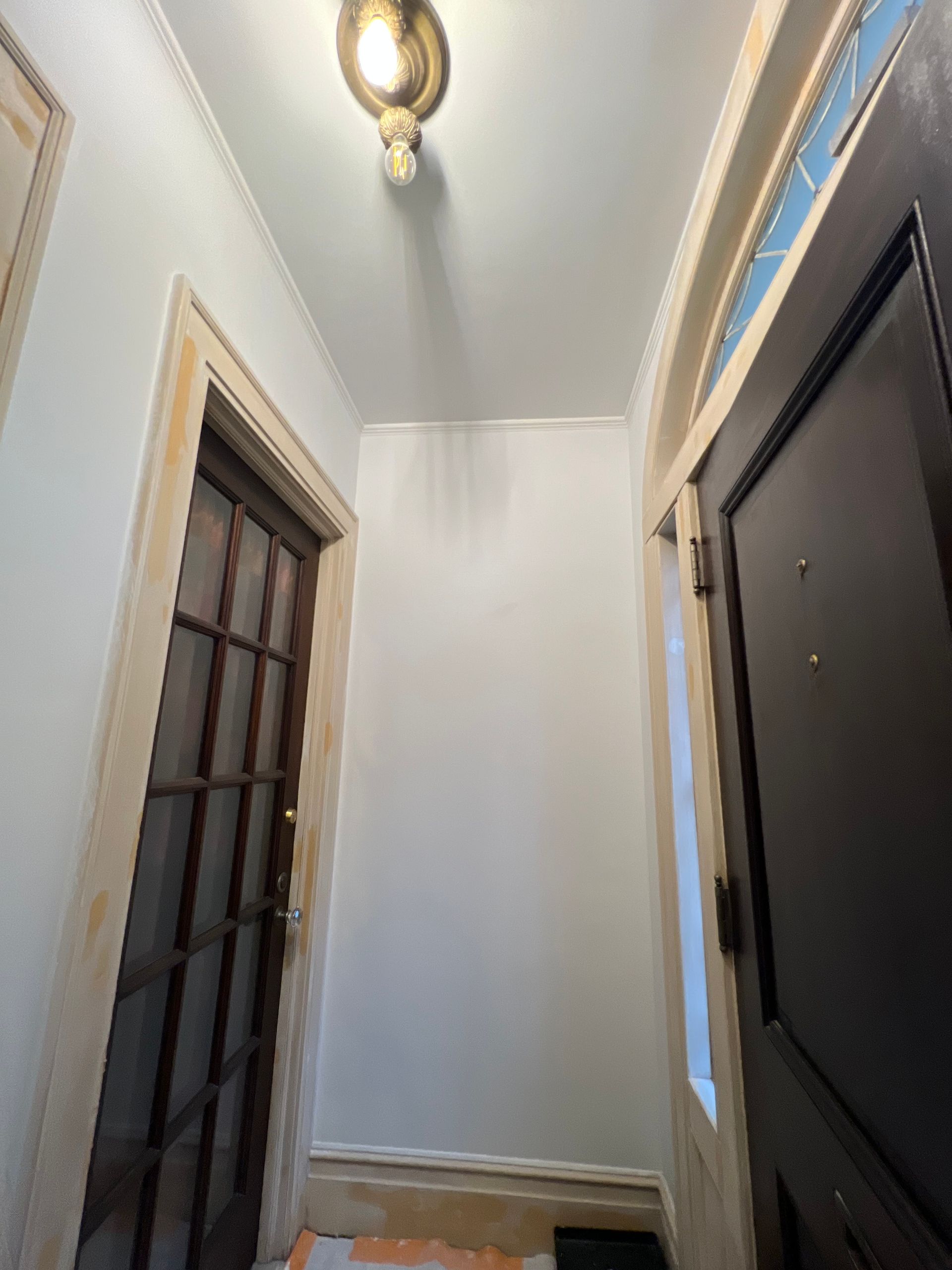 Narrow hallway with dark doors, white walls, wood trim, and a ceiling light overhead