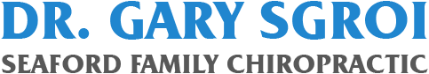 Seaford Family Chiropractic - logo