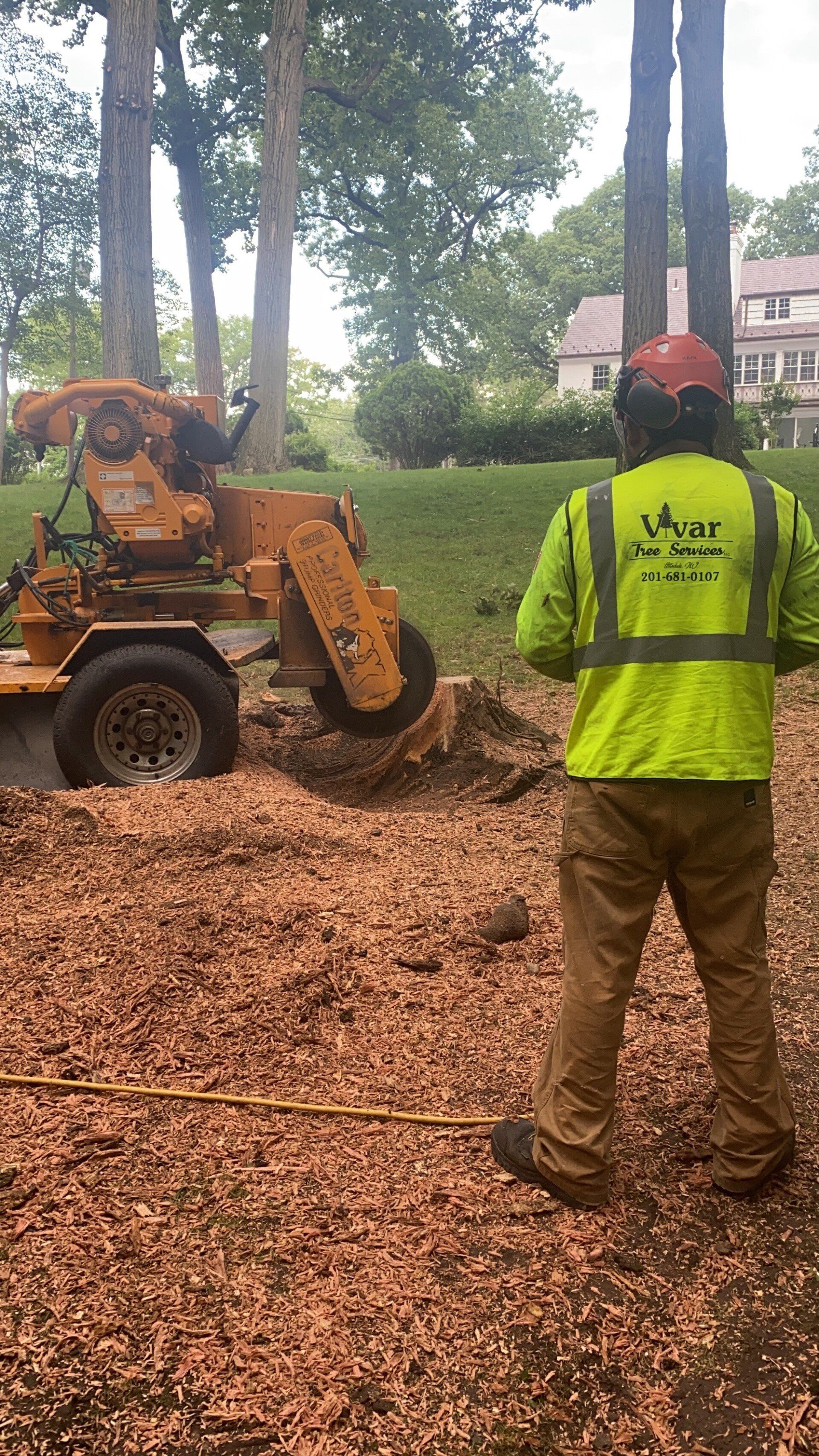 Vivar Tree Services image