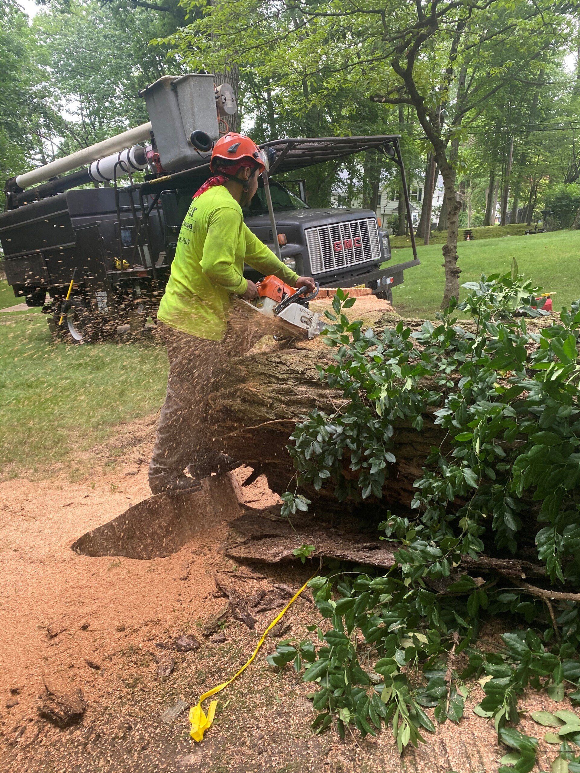 Vivar Tree Services image