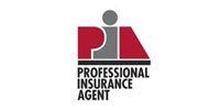 Professional Insurance Agent