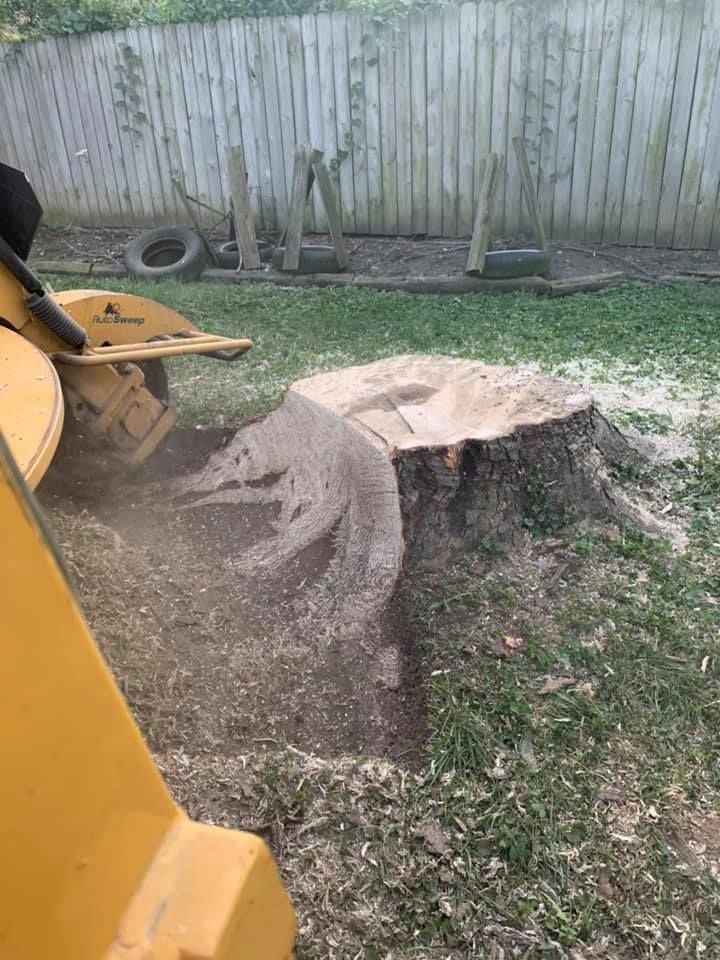 A yellow stump grinder sits on a grassy lawn, partially cutting into a large tree stump in front of a wooden fence.