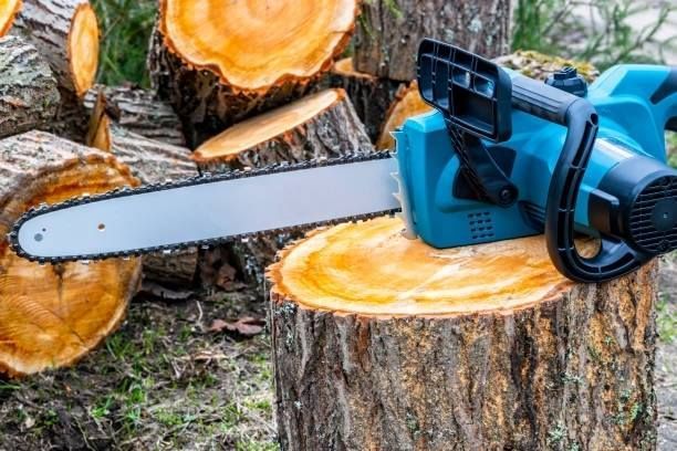 A blue electric chainsaw rests on a freshly cut tree stump, surrounded by other log sections in a wooded area.