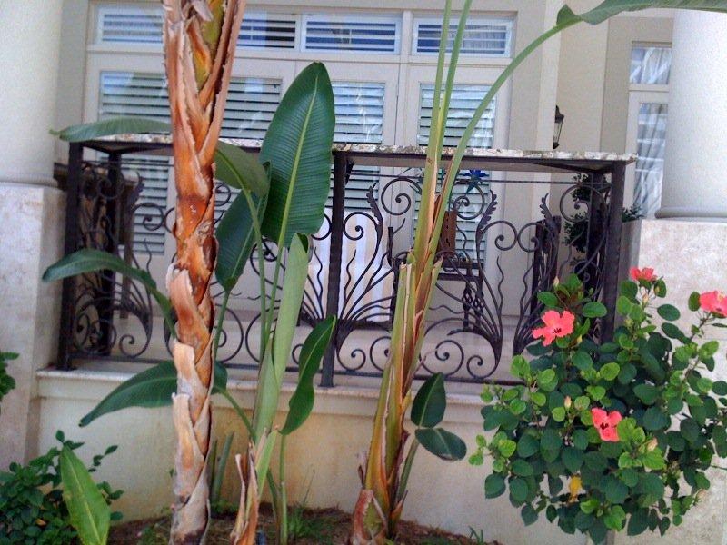 Ornamental gates and railings