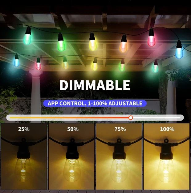 Dimmable string lights with app control, showing brightness levels from 25% to 100% in warm white and multicolor.