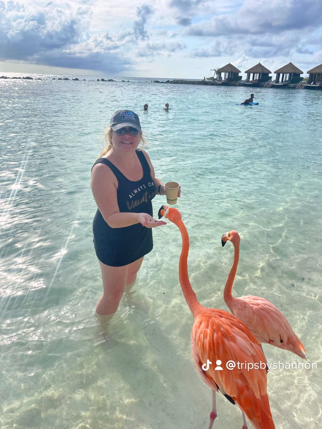 a woman in a swimsuit feeds flamingos in shallow, clear water