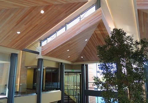A spacious atrium with a wood-paneled, vaulted ceiling, large windows, dark structural pillars, and an indoor tree.