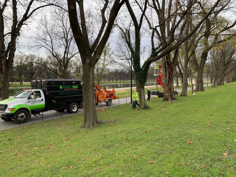 Tree service crew trimming trees along a grassy park path; truck and chipper on the road.