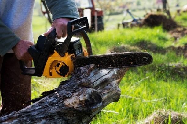 Person using a yellow chainsaw to cut a log in a grassy outdoor setting.