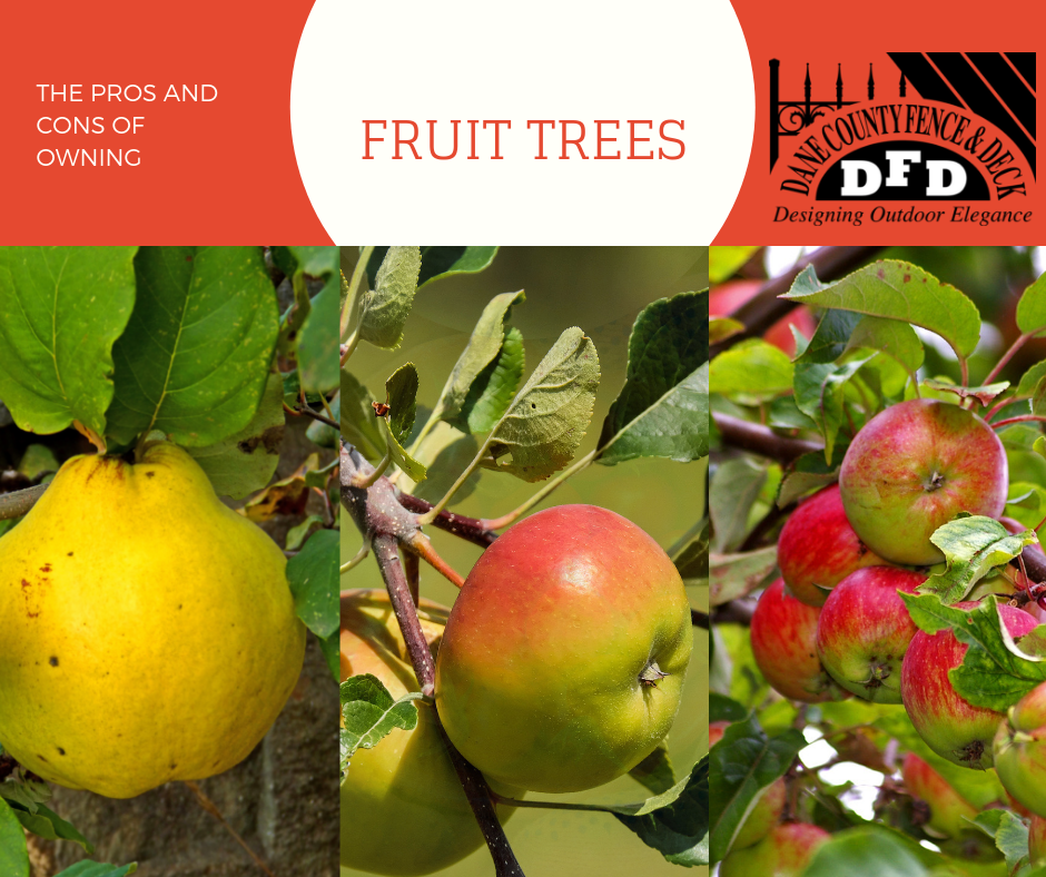 Fruit Trees