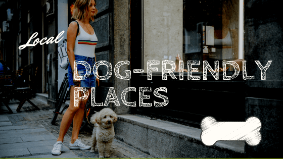 pet friendly stores madison wi