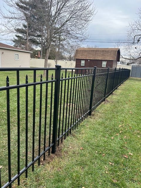 Black metal fence bordering a green lawn, with a brown-roofed shed and residential houses in the background.