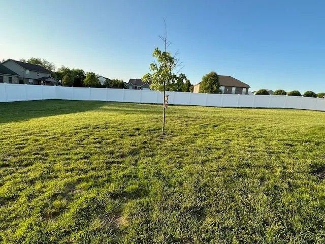 A young tree stands in a grassy yard, with a white fence and houses in the background under a blue sky.