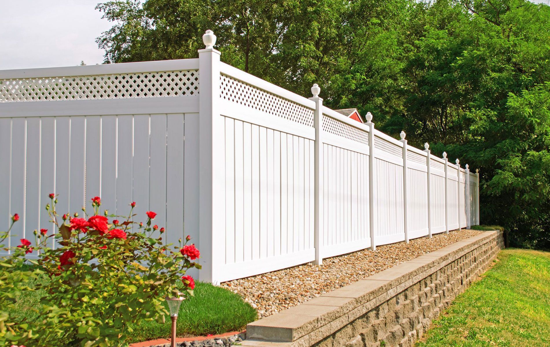 White vinyl fence with lattice top along a retaining wall, with red roses and green trees in the background.