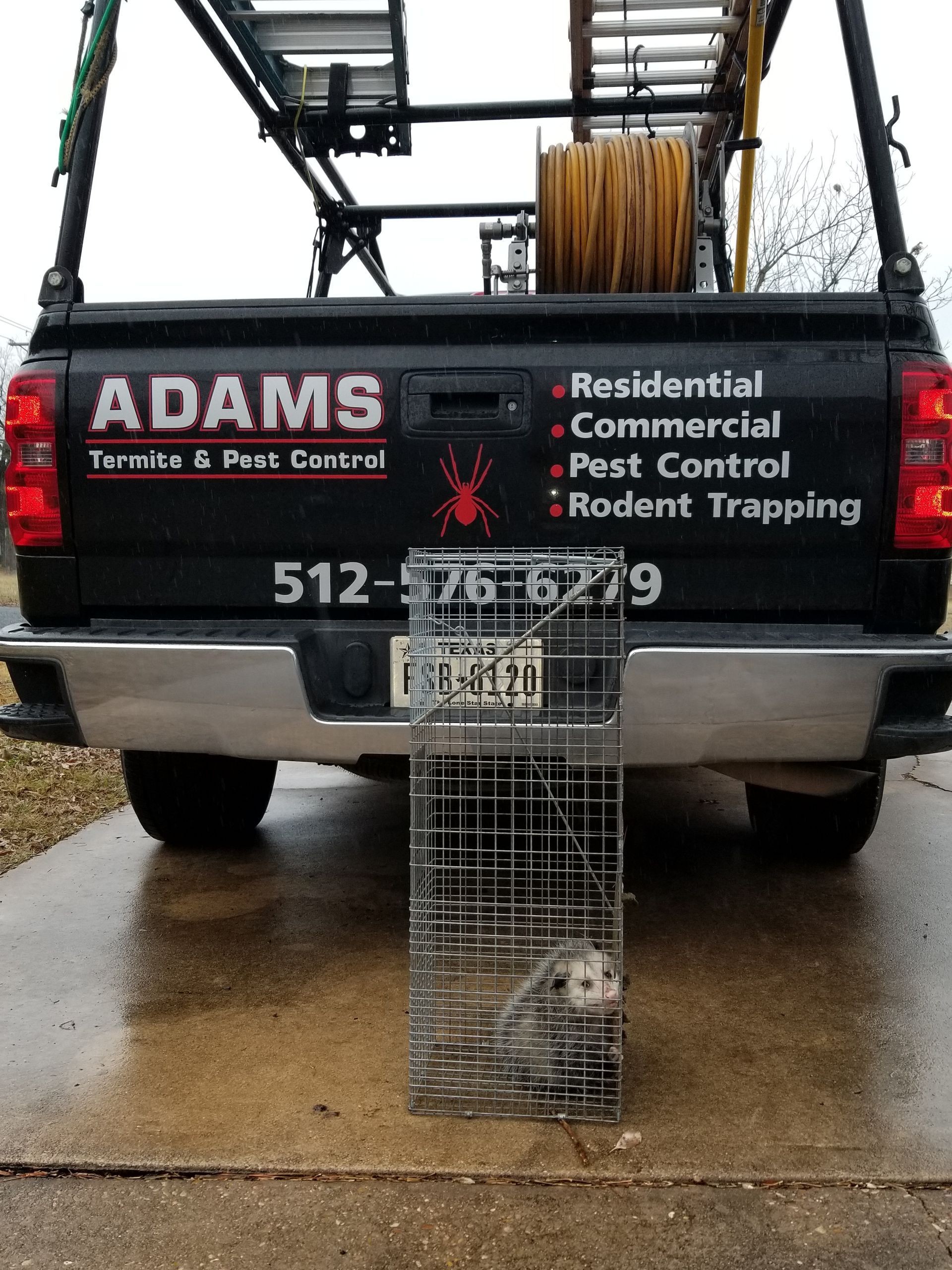 A live animal trap in front of a pest control truck. The truck has the company name, Adams, and phone number.