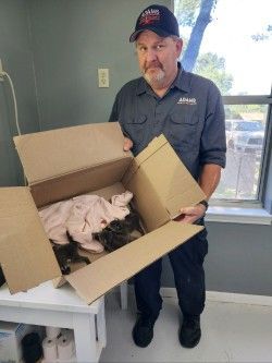 Man holding a cardboard box containing a cat wrapped in pink cloth. He has a concerned expression.
