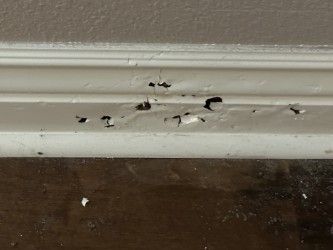White painted molding with several small holes and dark spots, likely damage.