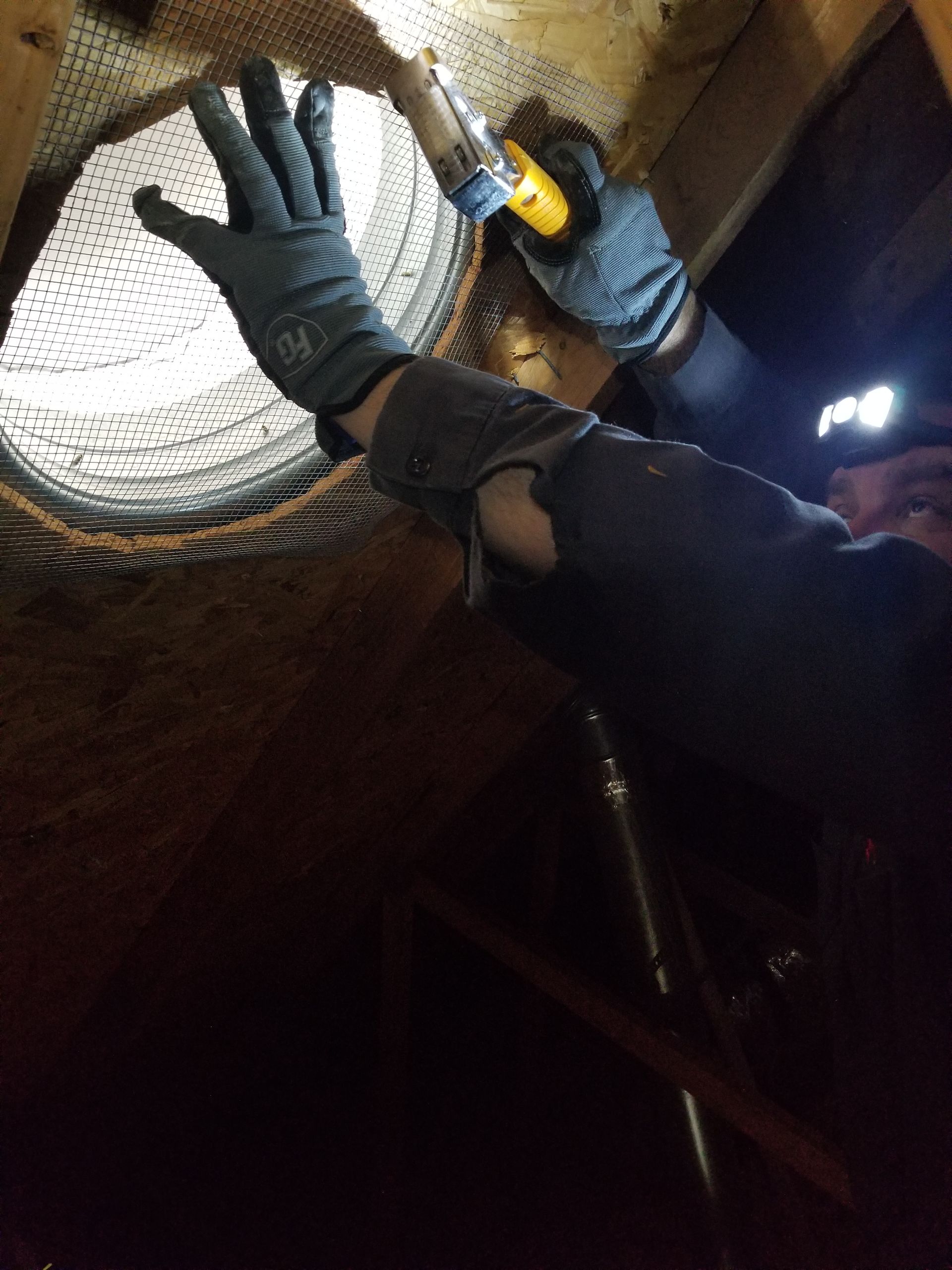 Person in gloves and headlamp inspecting an attic vent with a flashlight.