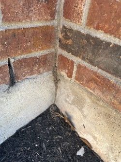 Brick corner with concrete base and dark mulch.
