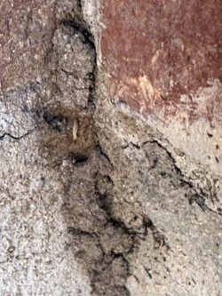 Close-up of weathered wall with a deep crack filled with dark material; the wall has shades of brown, red, and gray.
